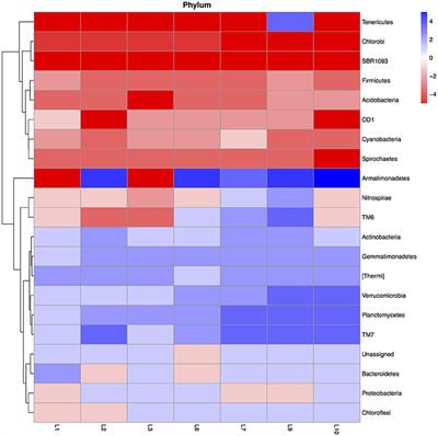 Soil Salinity Controls Relative Abundance of Specific Bacterial Groups Involved in the Decomposition of Maize Plant Residues